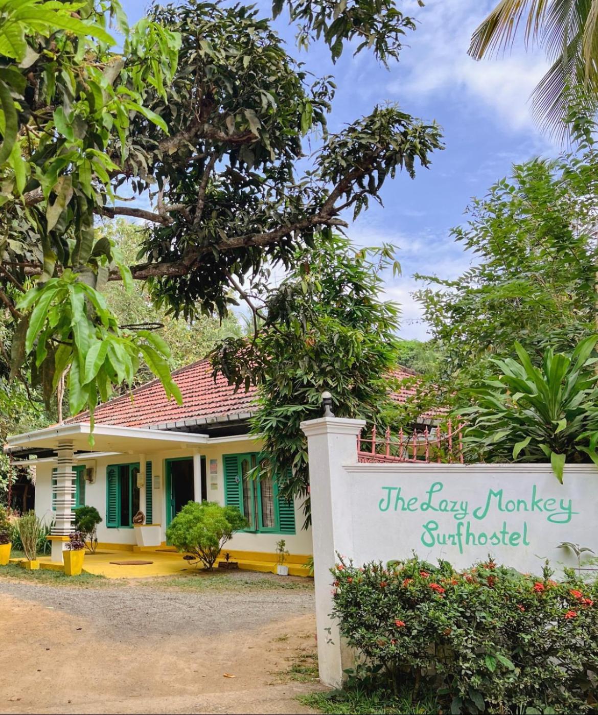 Lazy Monkey Surfhostel - Sri Lanka Dikwella Esterno foto