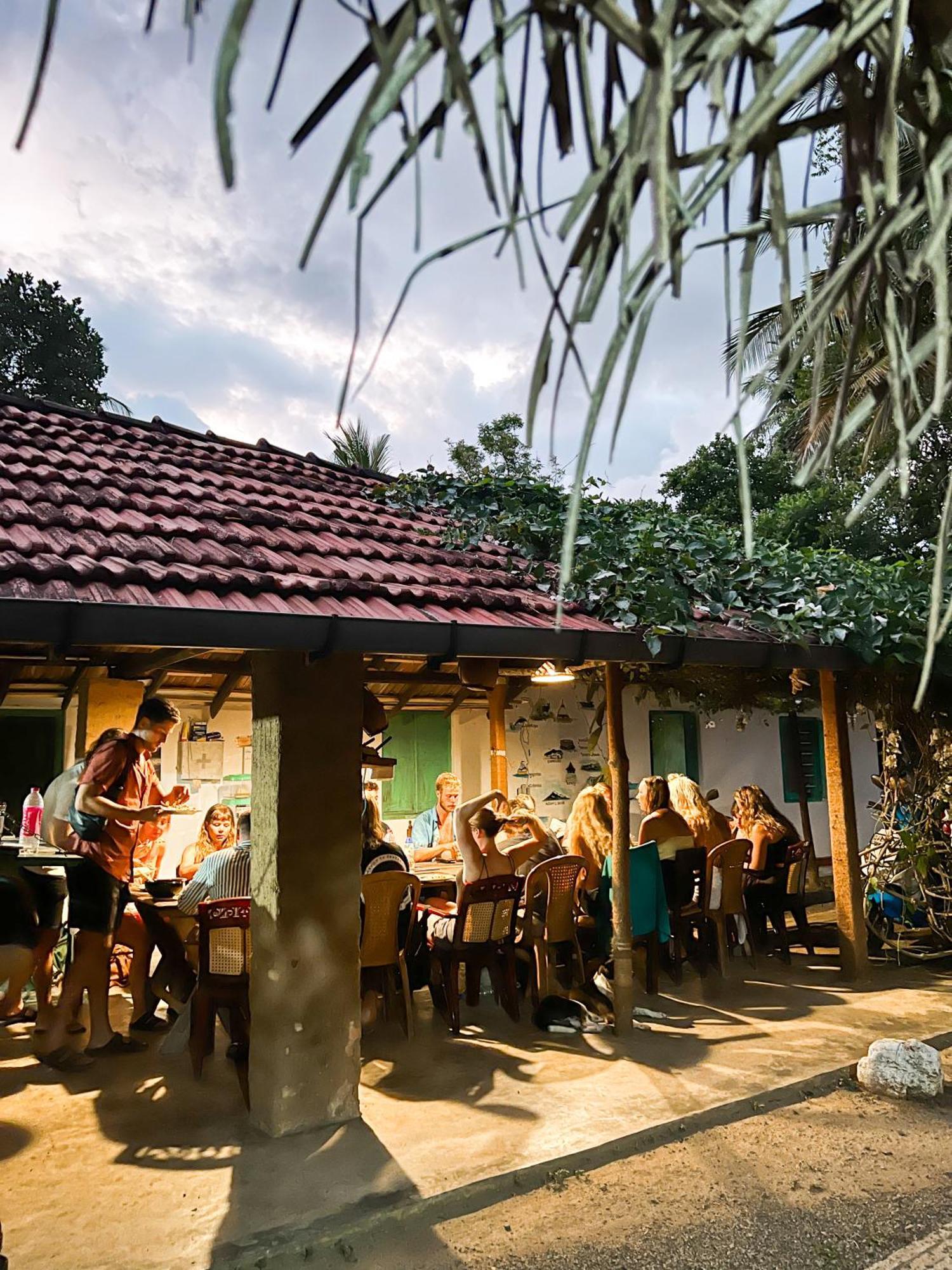 Lazy Monkey Surfhostel - Sri Lanka Dikwella Esterno foto