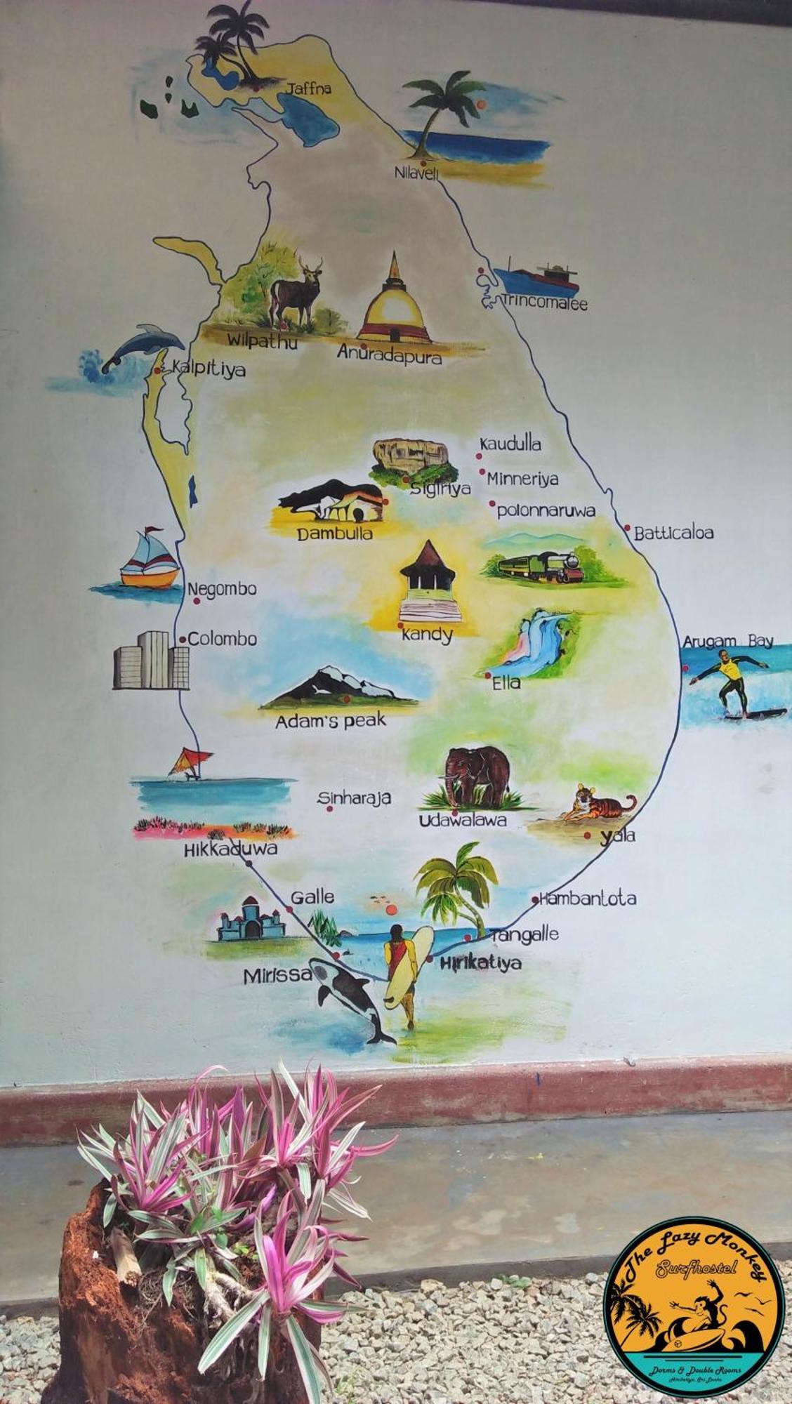 Lazy Monkey Surfhostel - Sri Lanka Dikwella Esterno foto