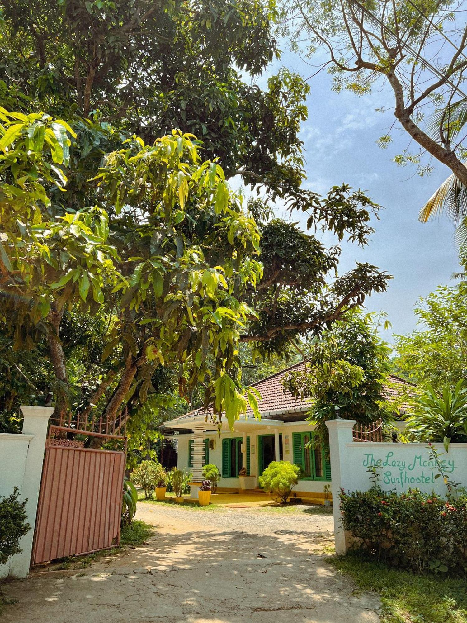 Lazy Monkey Surfhostel - Sri Lanka Dikwella Esterno foto