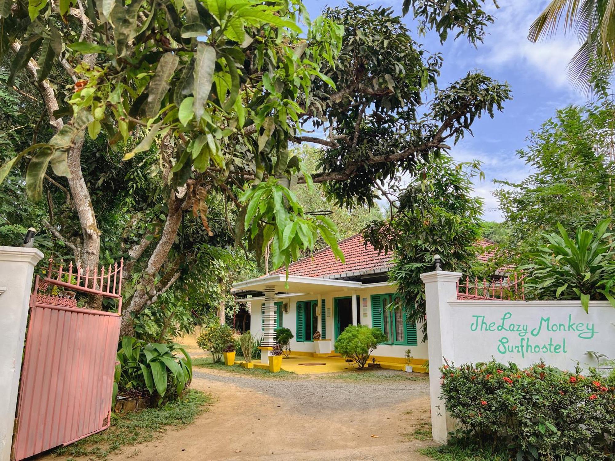 Lazy Monkey Surfhostel - Sri Lanka Dikwella Esterno foto